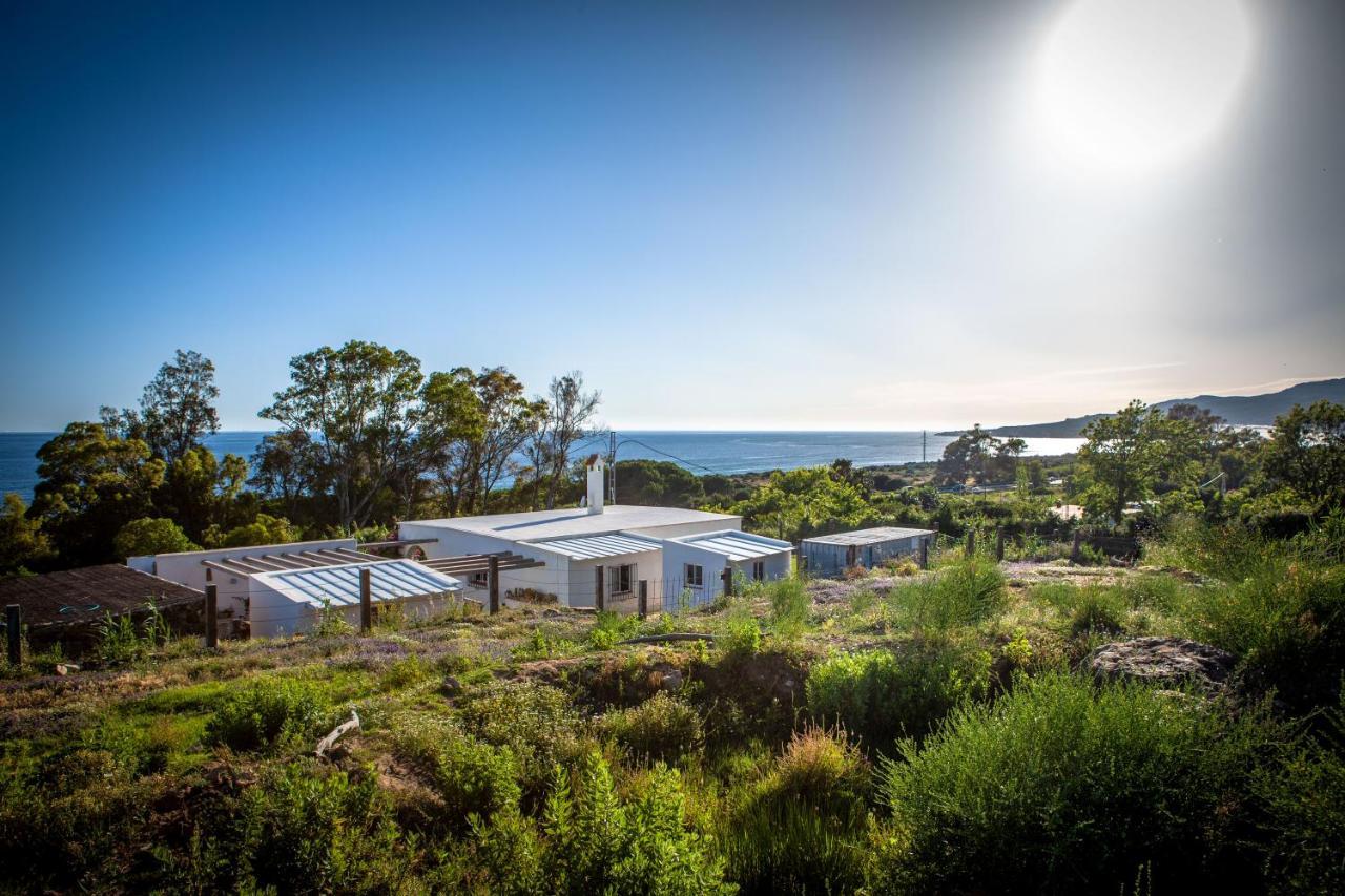 Wild House Tarifa