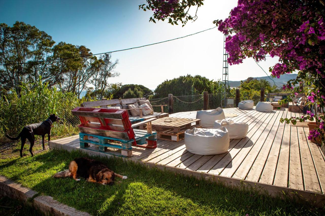 Ostello Wild House
