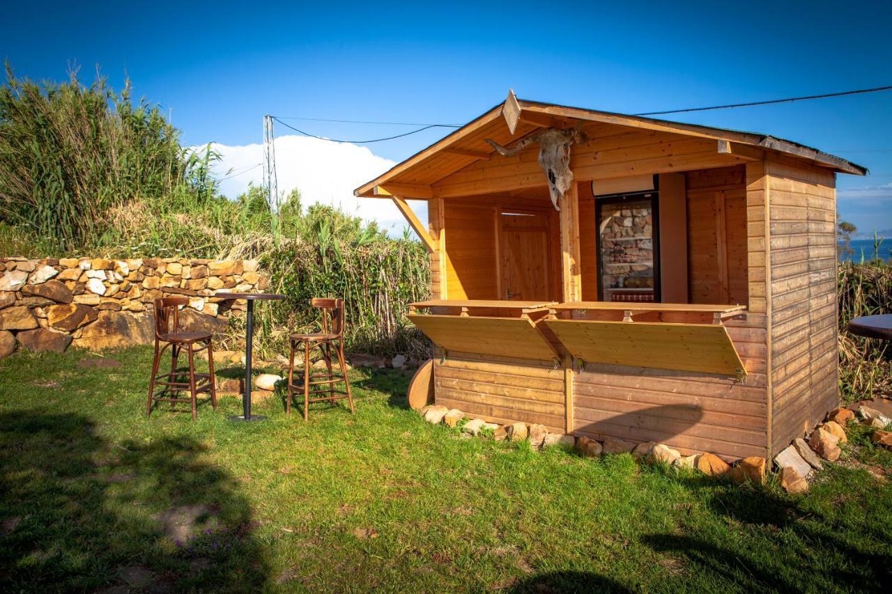 Wild House *
