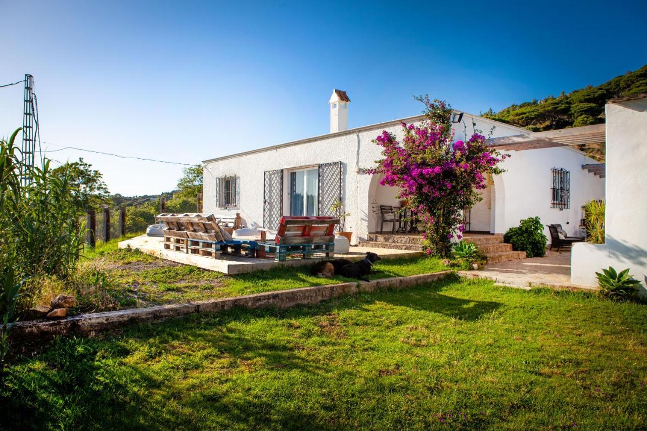 Wild House Ostello *